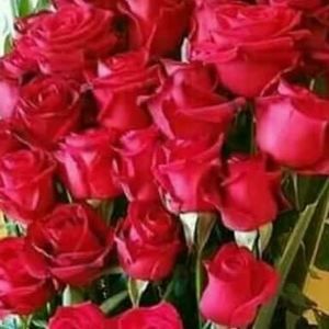 Meet your Posher, Coralito